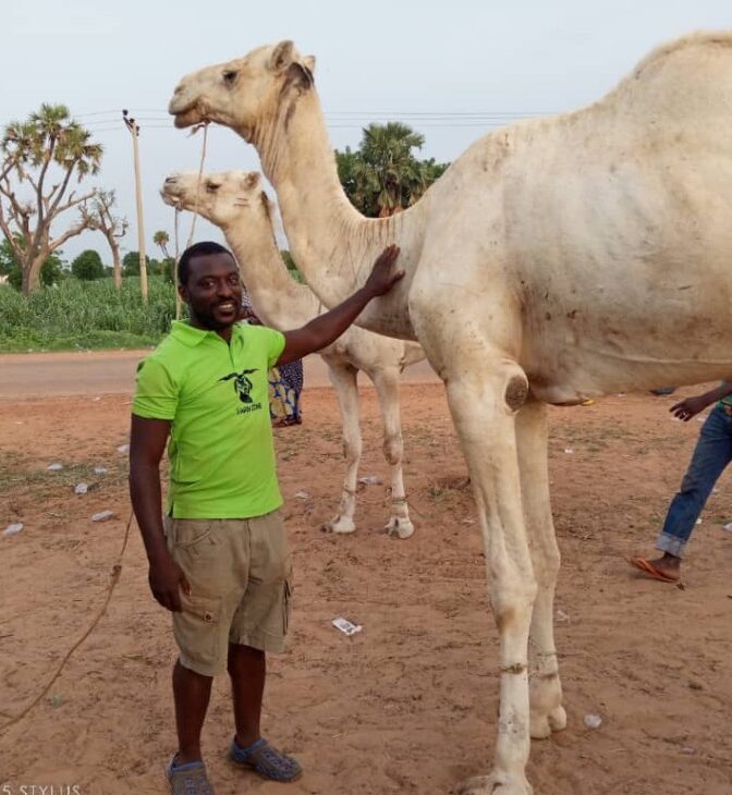Farmzone%20Africa