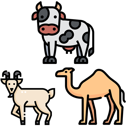 Farmzone%20Africa